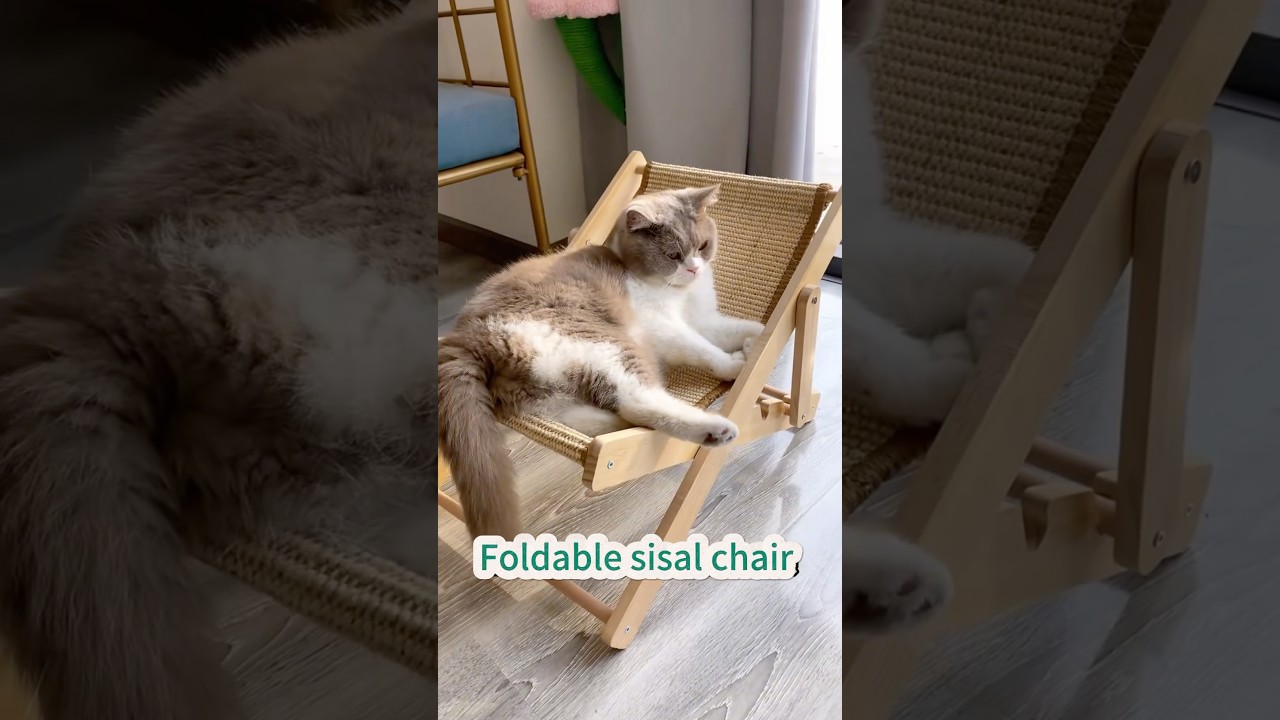 Klappbarer Sisalstuhl #Katze #Katzenpflege #Haustierpflegeanbieter