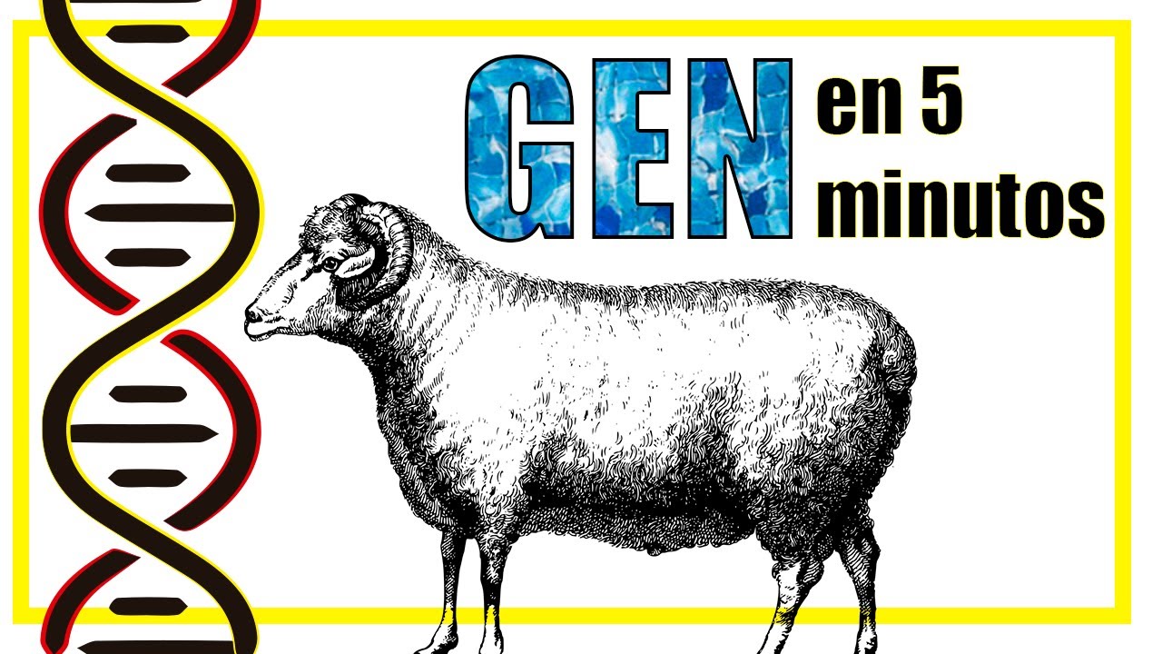 ¿Qué es un GEN? en menos de 5 minutos!!!
