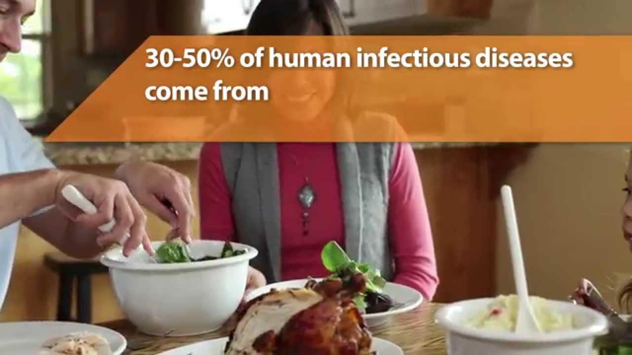 Zoonoses animation