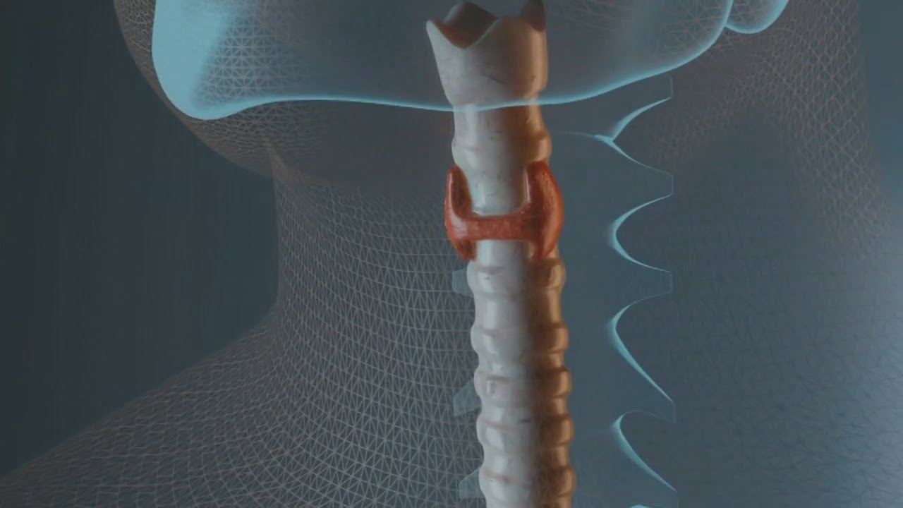 Health Tips Tuesday: Thyroid Awareness Month