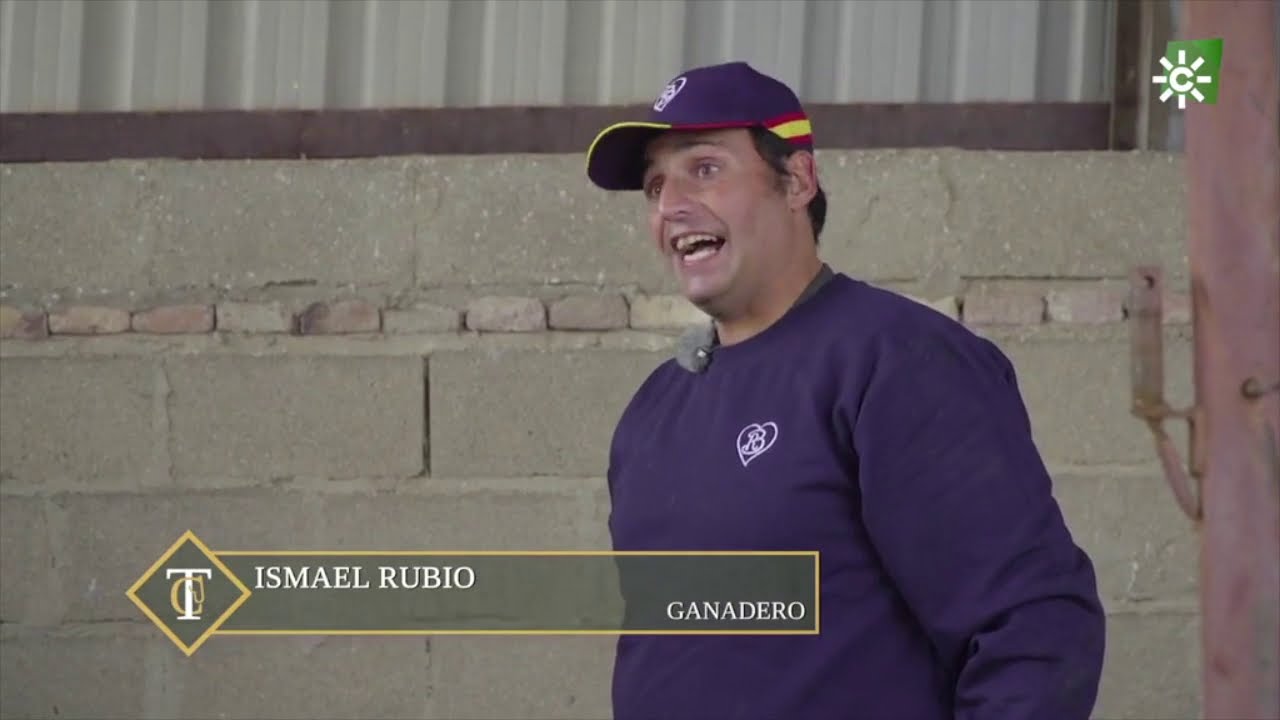 Yeguada Rube de Peñarroya-Pueblonuevo - Todo Caballo - Canal Sur Televisión - 06.02.2021