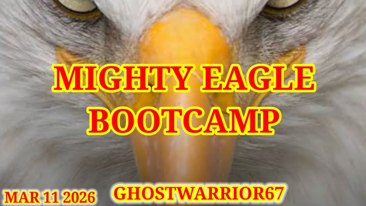 Angry birds 2 Mighty Eagle Bootcamp 2026/03/11 & 2026/03/12 Cleared 8rooms,after Daily Challenge 