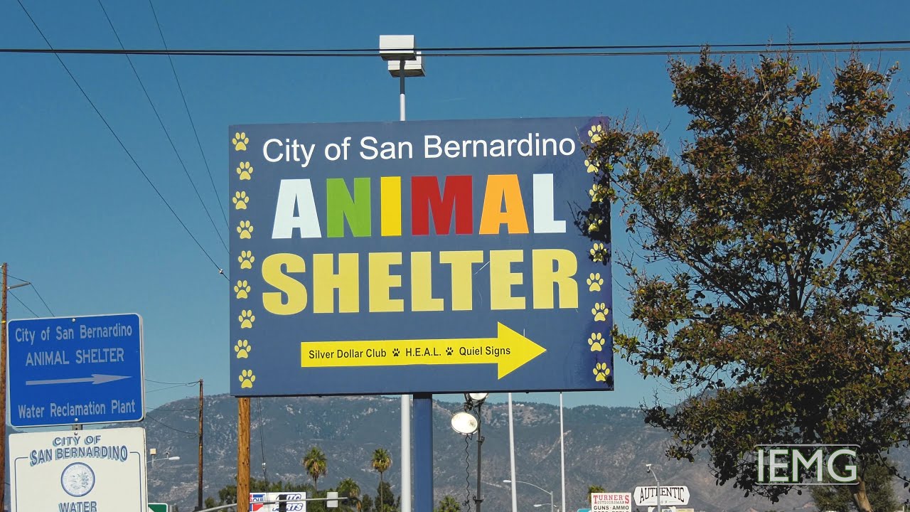 City of San Bernardino Animal Shelter Grand Re Opening (12/11/21)