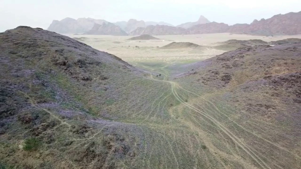 ربيع الدارة ١٤٤٠هـ/٢٠١٨م