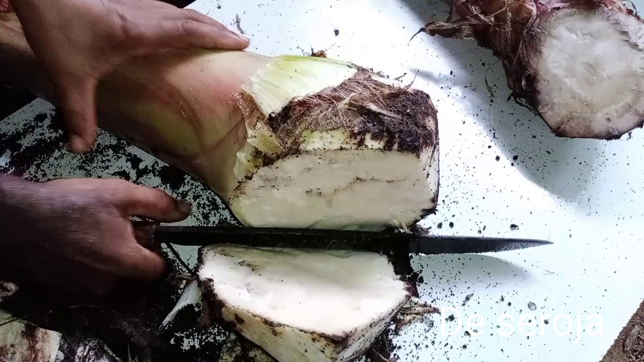 Kahwin Pokok pisang cara kampung