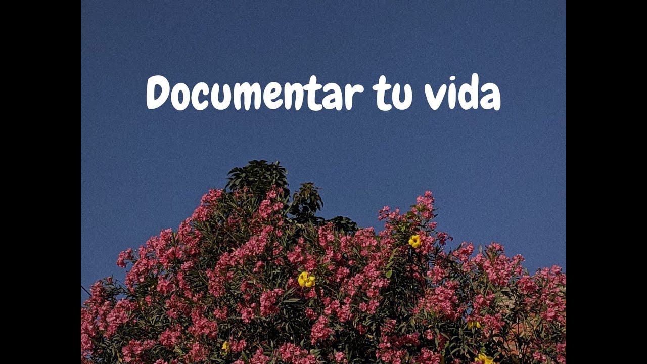 Documentar tu vida