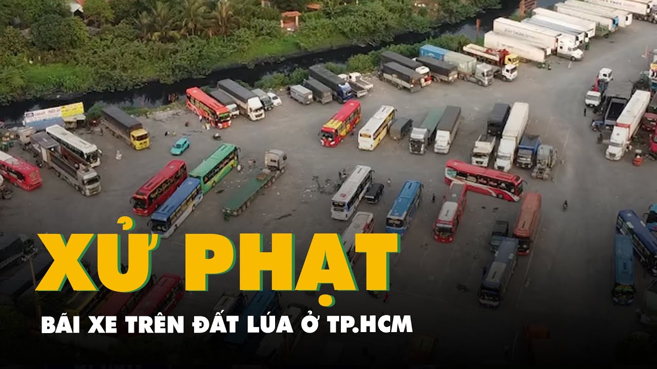 Bãi xe trên đất lúa ở TP.HCM: Phạt 250 triệu đồng, buộc nộp hơn 13,3 tỉ đồng số lợi bất hợp pháp