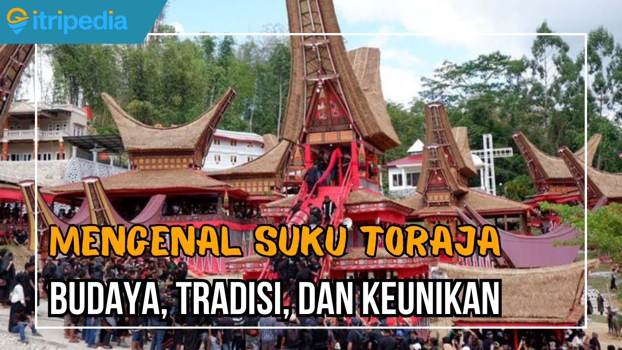 Mengenal Suku Toraja di Sulawesi Selatan: Budaya, Tradisi, dan Keunikan yang Mempesona