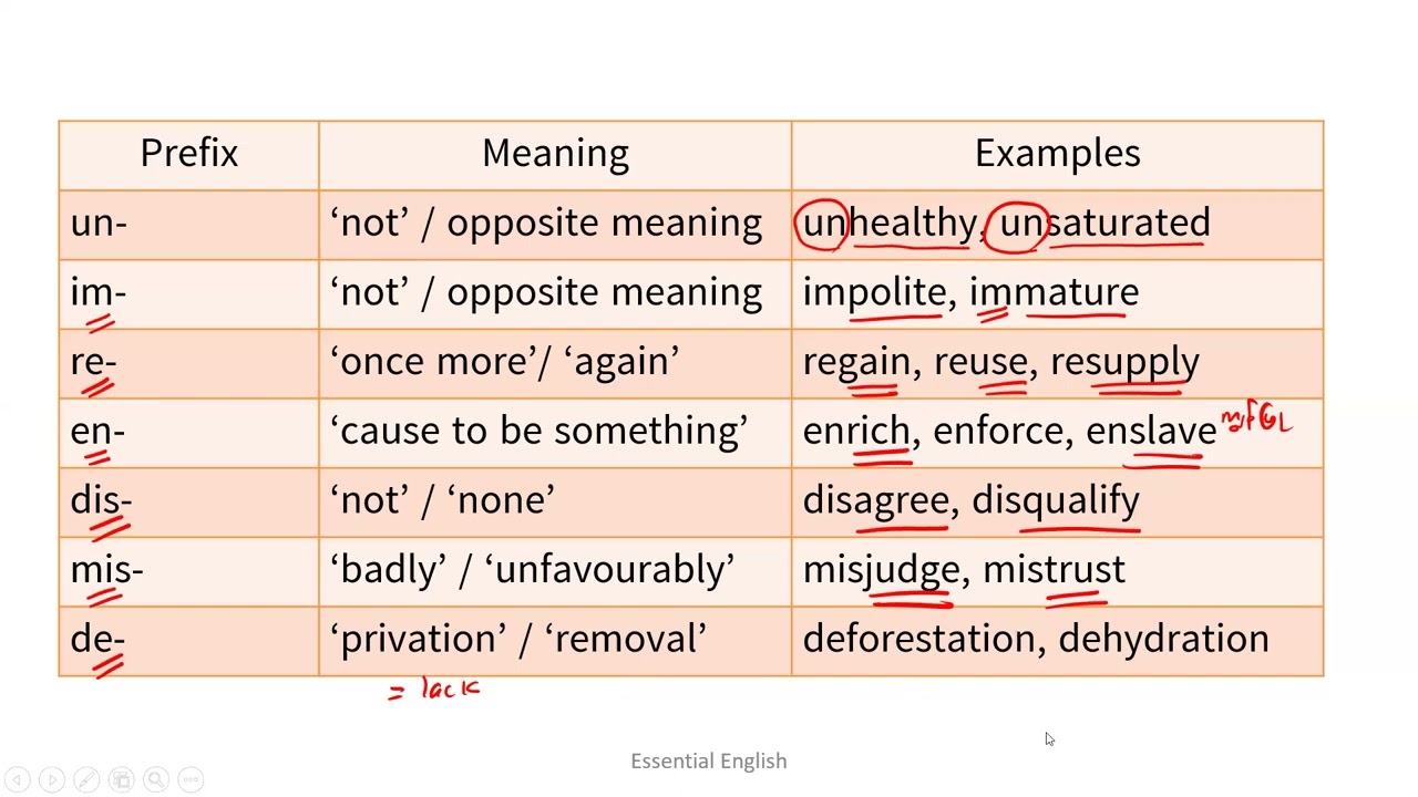 3B Vocabulary