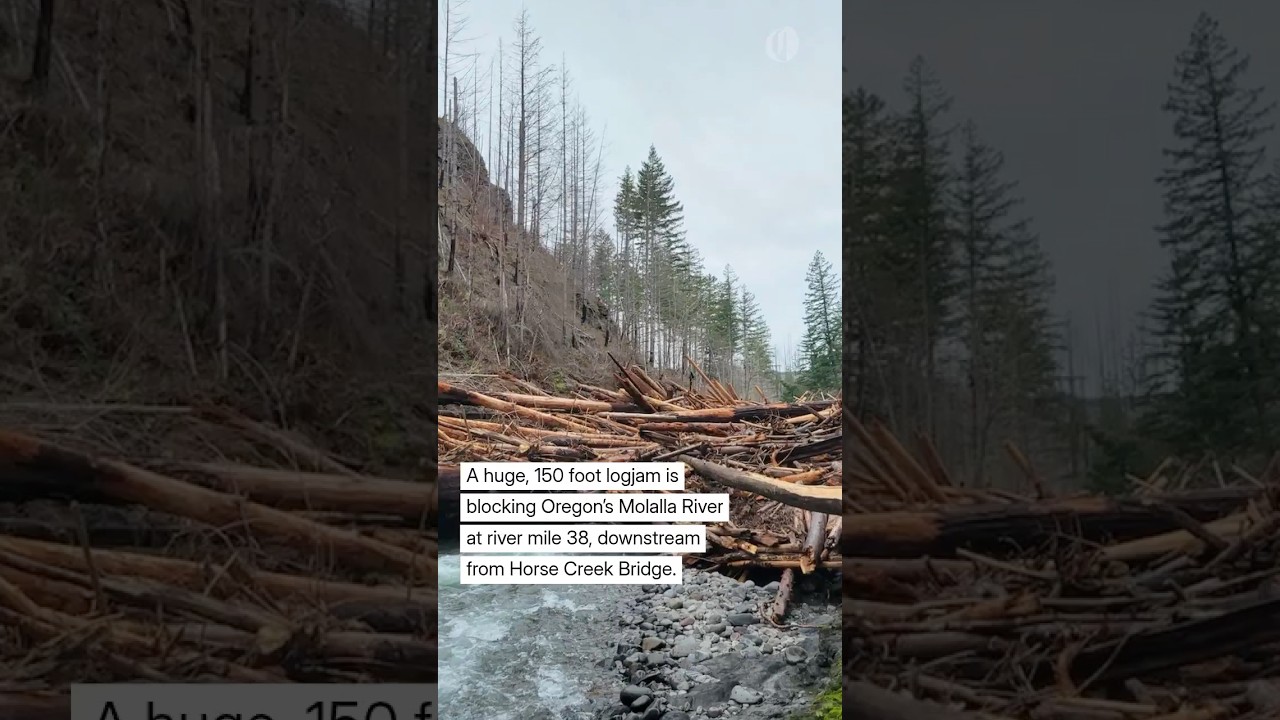 Huge logjam blocks another popular Oregon river