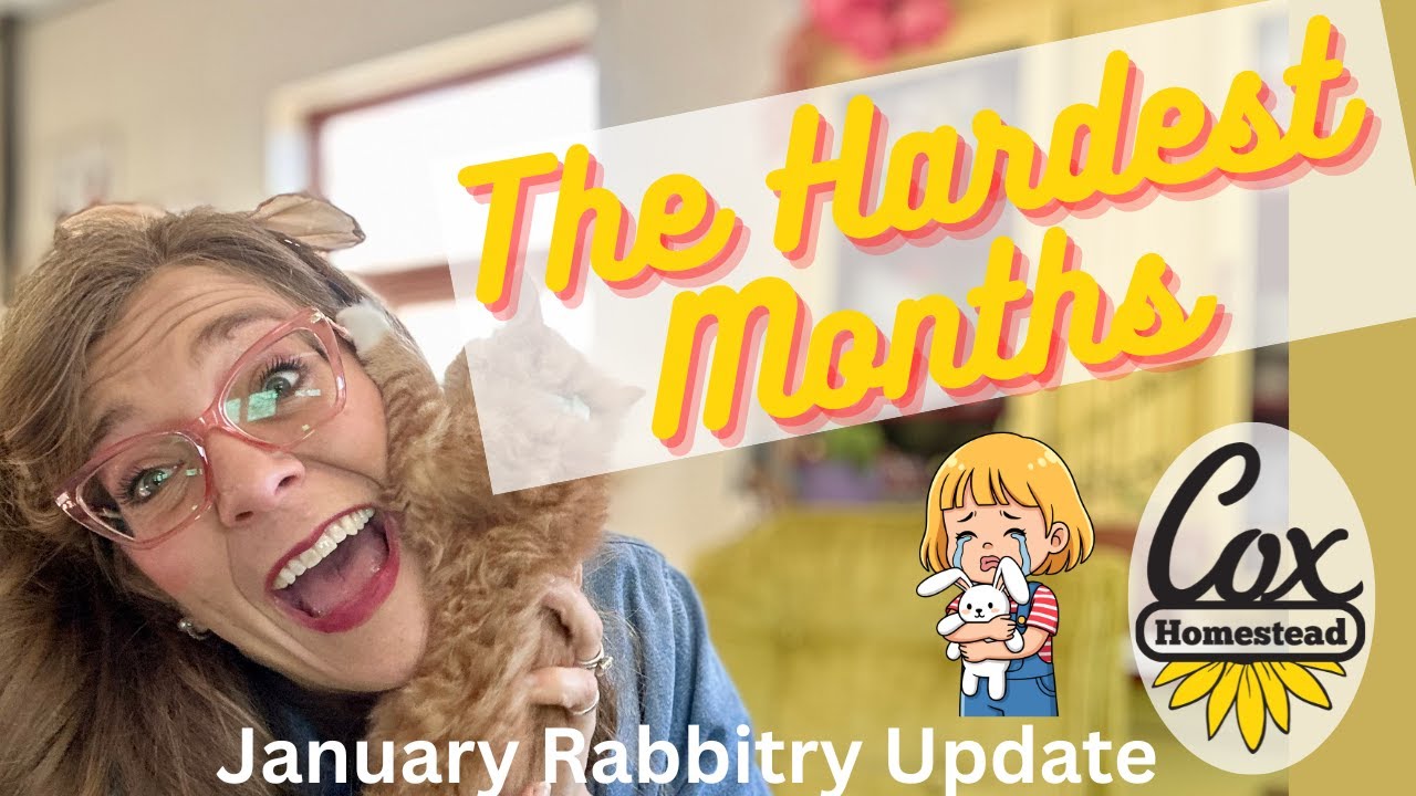 The Hardest Two Months VLOG  |   January Rabbitry Update   |  Nestbox Eye issues   | Cox Homestead
