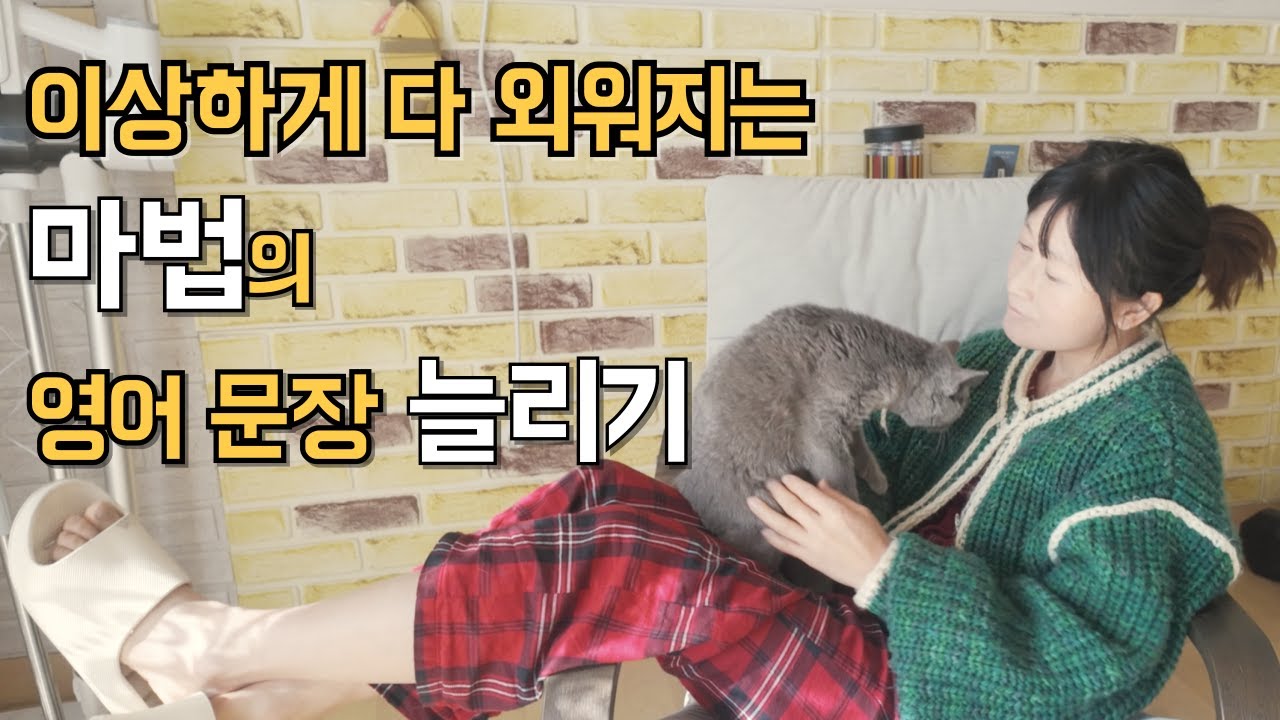 영어 입트임 보장/50분 스피킹 훈련  #328