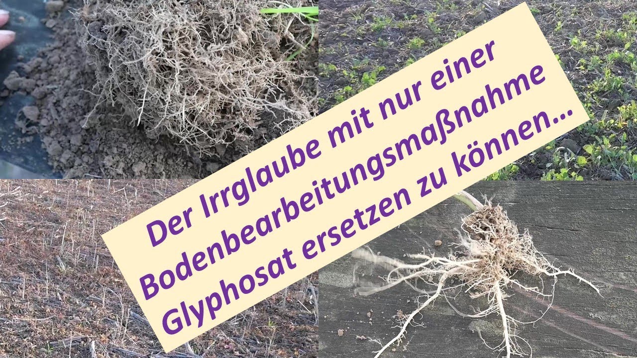 Der Irrglaube Glyphosat durch einen einzigen Bodenbearbeitungsgang ersetzen zu können ...