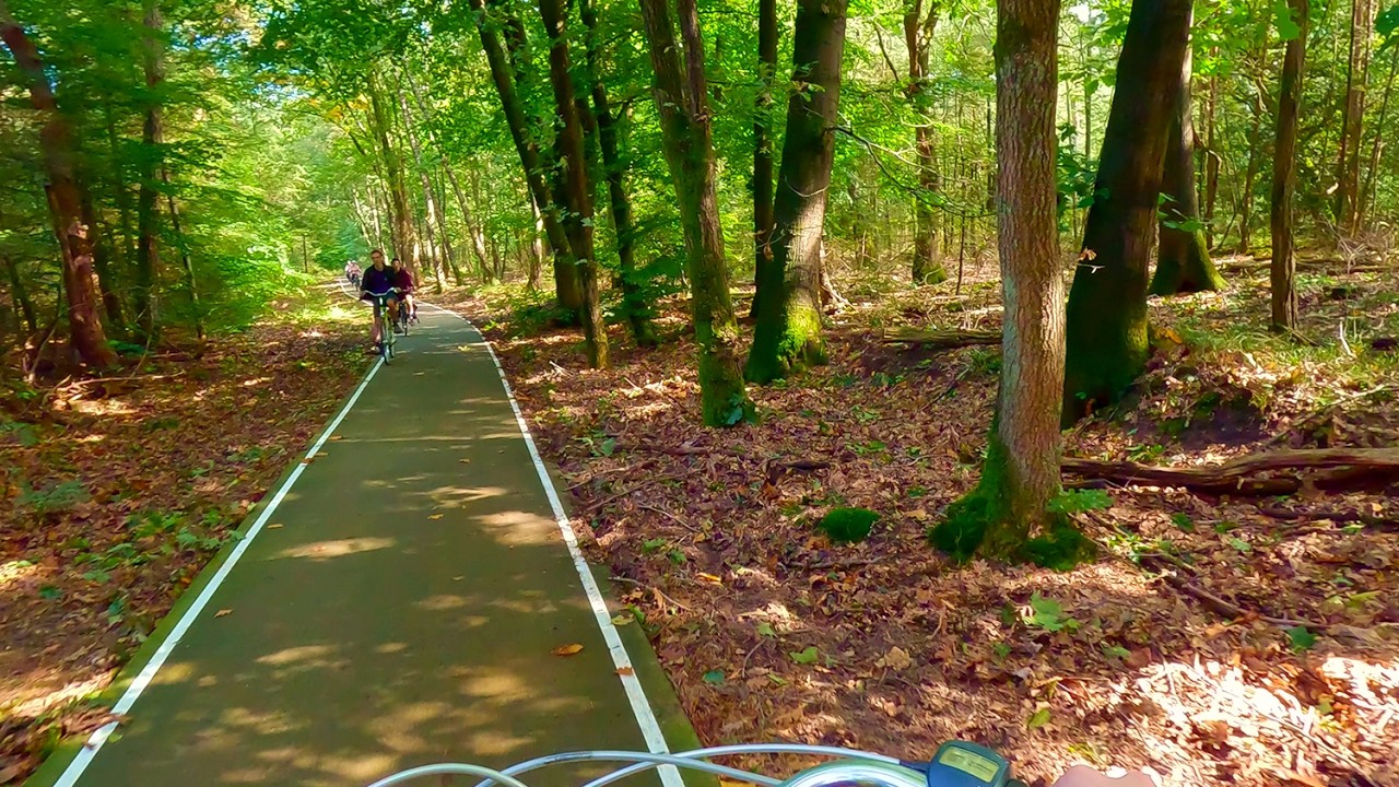 What Happens If You Bike Through This Forest?