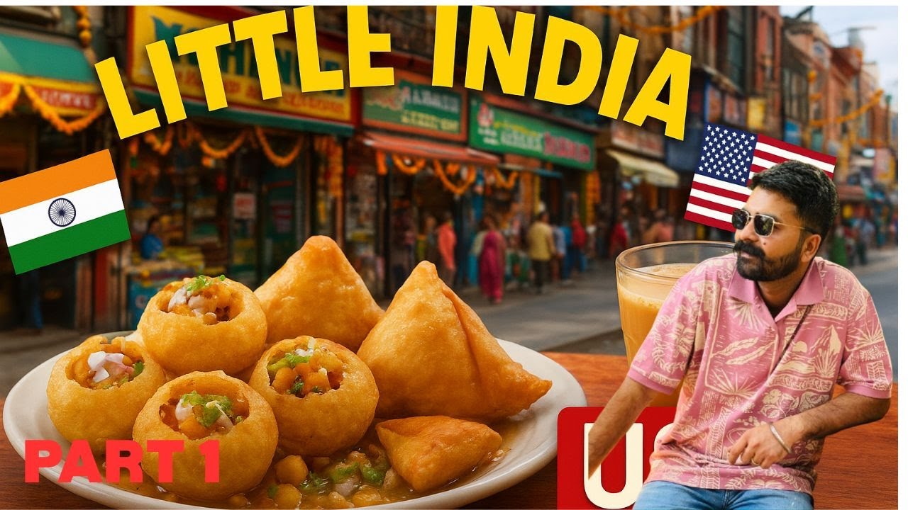 WAY TO LITTLE INDIA in AMERICA 🇺🇸| Mini INDIA in Chicago City | Indian Street Food in USA