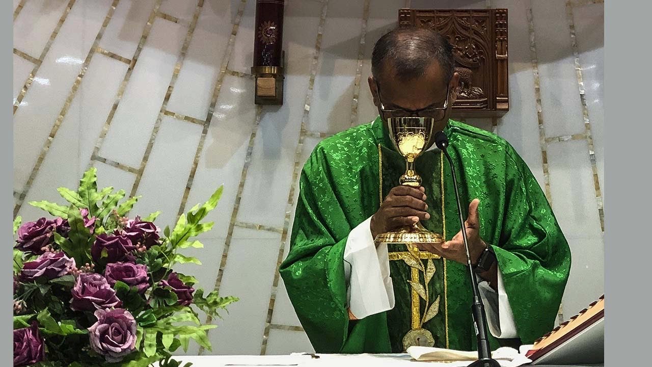 Homily - 2nd July, 2020 | Matthew 9: 1-8