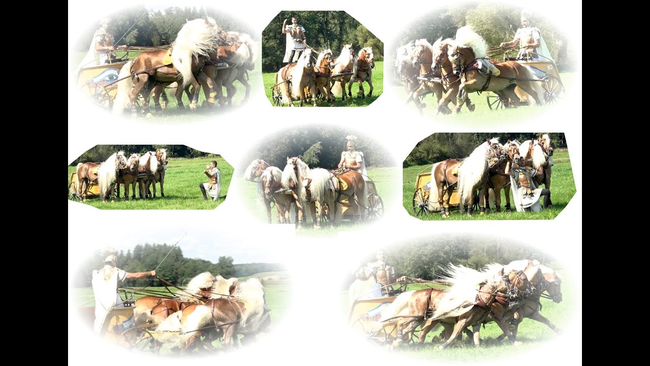 Haflinger Quadriga beim Fuhrmannstag in Gutenzell 2023