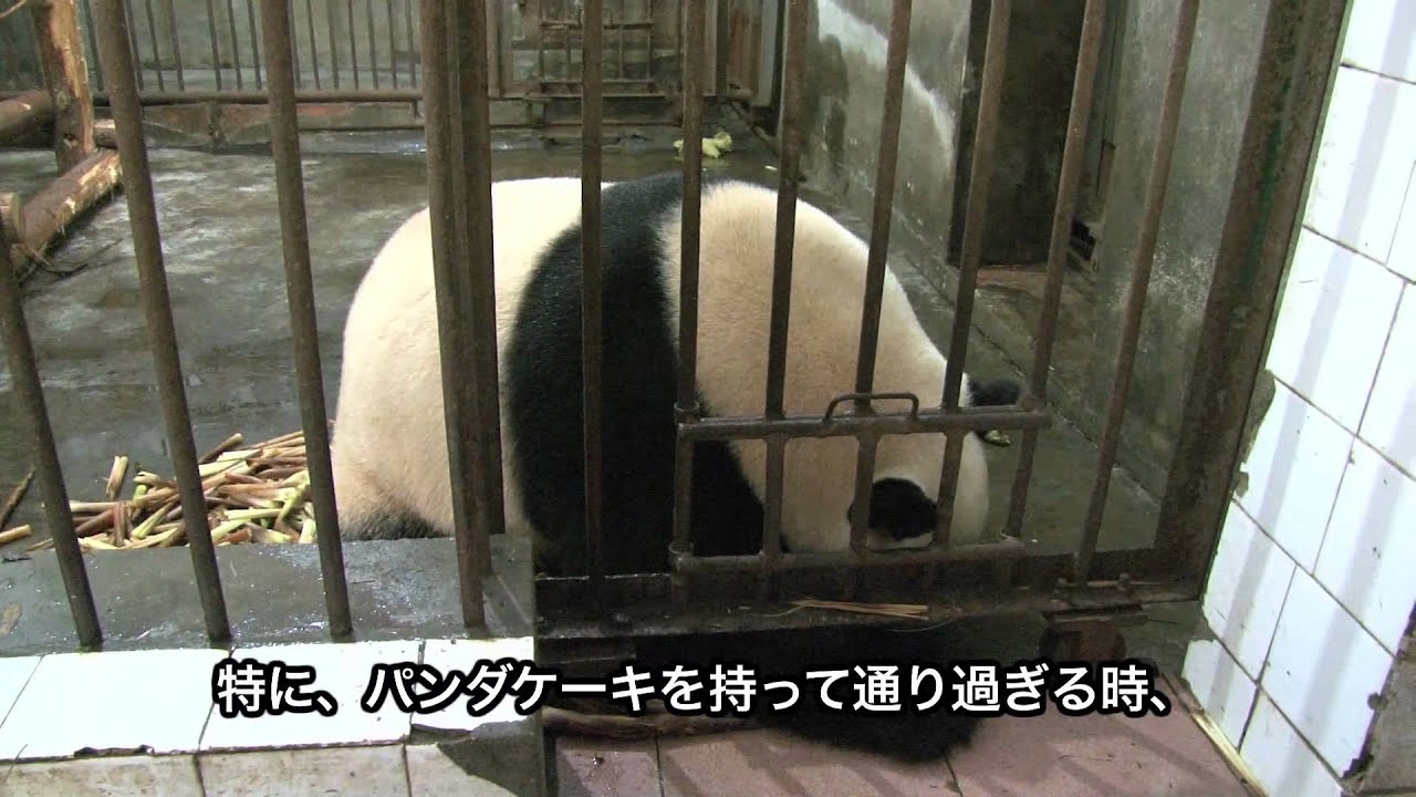 20150905 Broadcast Top Highlights 直播精彩集錦 爱浜 采访