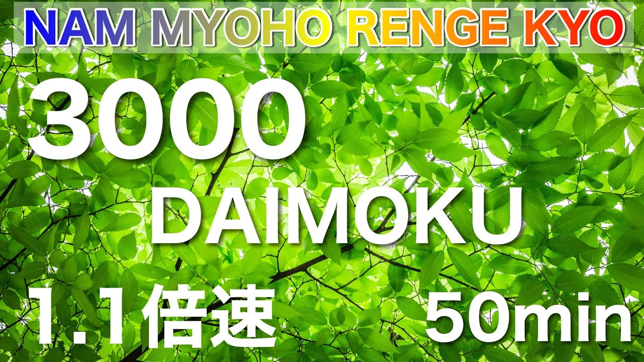 Chant with Sensei 池田先生とお題目 3000遍 1.1倍速 約50分唱題 南無妙法蓮華経 ストップウォッチ　題目カウンター