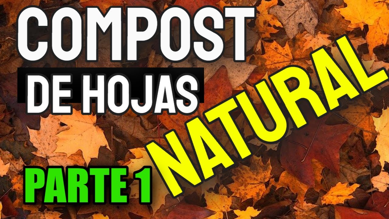 👉👉CÓMO HACER COMPOST (1) casero de HOJAS NATURAL y ORGANICO ✅    - 🔬MIRADASBIOLOGICAS