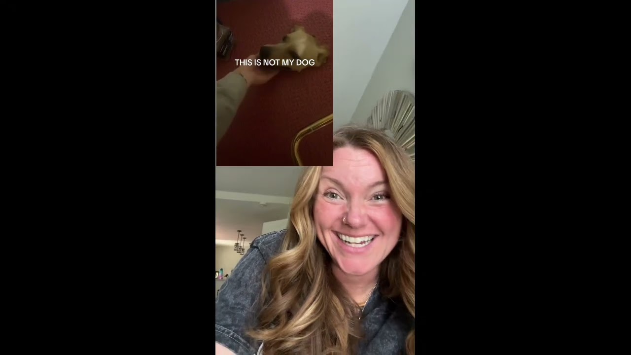 Him so cute! 🐶 #tothecomments #mustseevideos #funny #dog #dogsoftiktok 