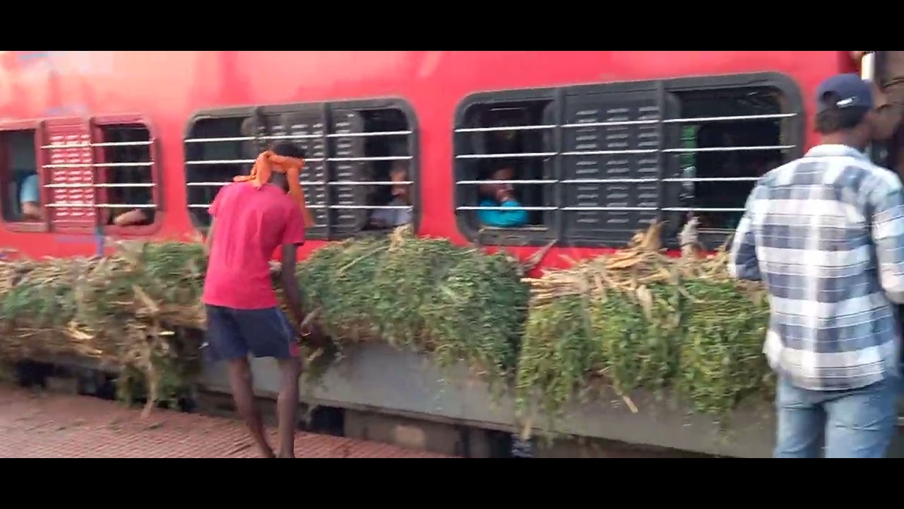 Indian Grass Train From Patna to Katihar at New Barauni Jn.