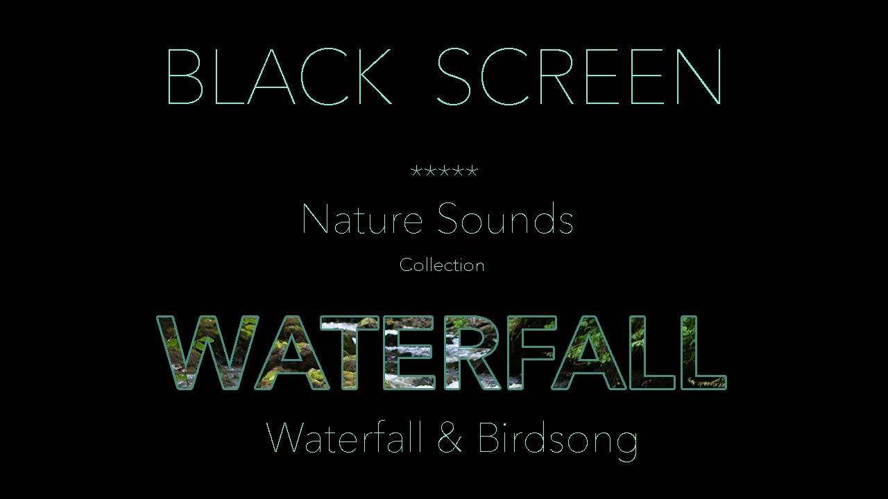 Forest Waterfall Nature Sounds-Black Screen Relaxing Birdsong-Sleep Sound Birds Singing Dark Screen