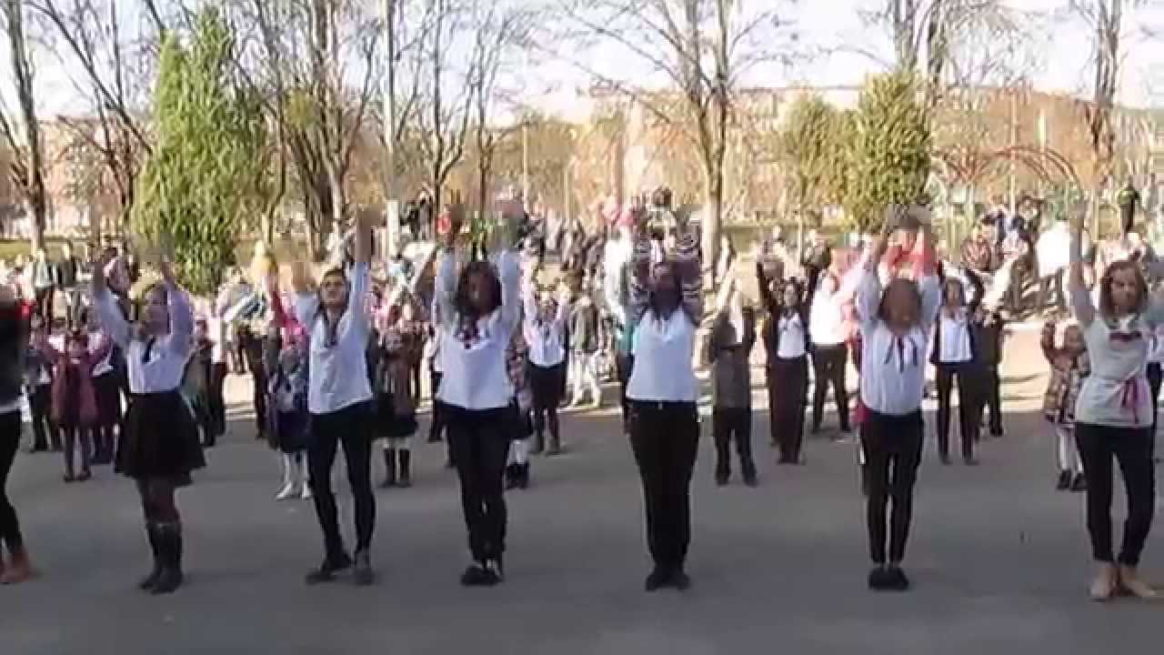 День української писемності та мови, флешмоб 10 11 14