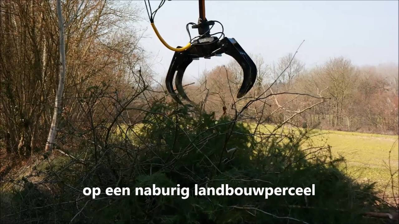 Bierbeek beheer holle wegen en lokale biomassa