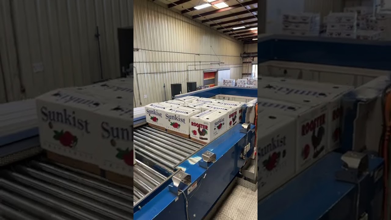 PTI high speed palletizer layer forming
