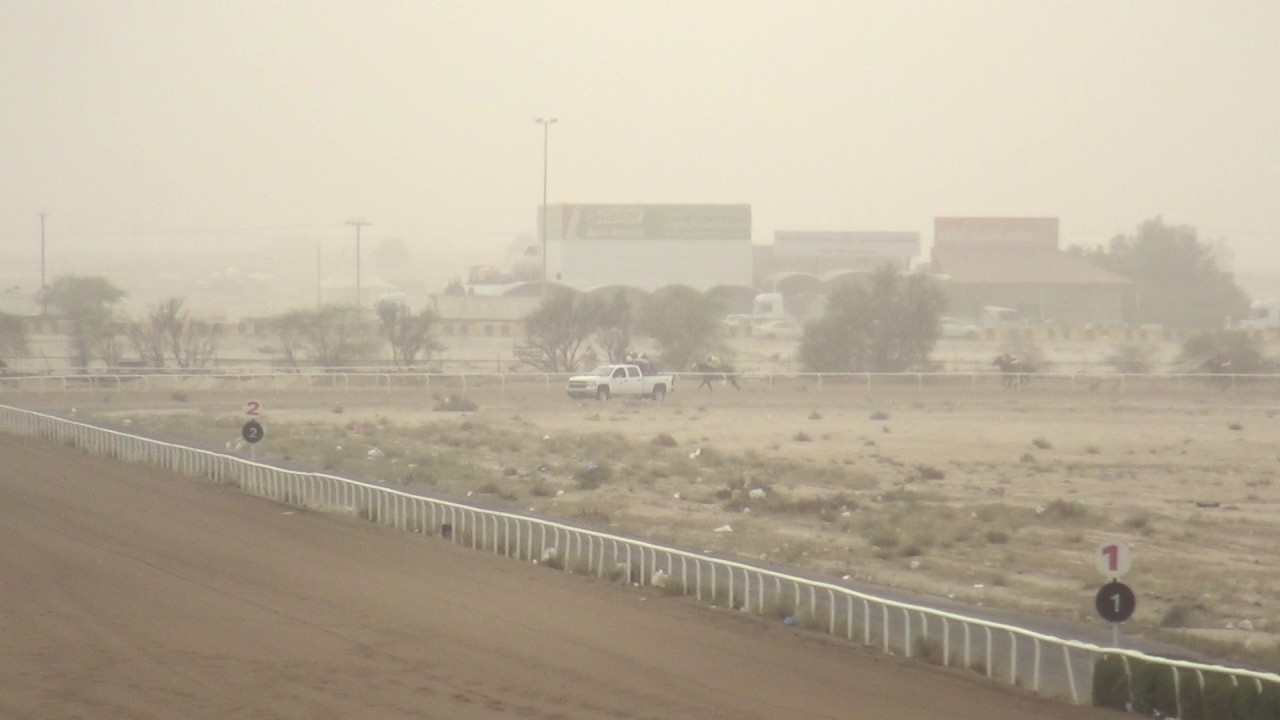 ج23 الجواد على مهلك