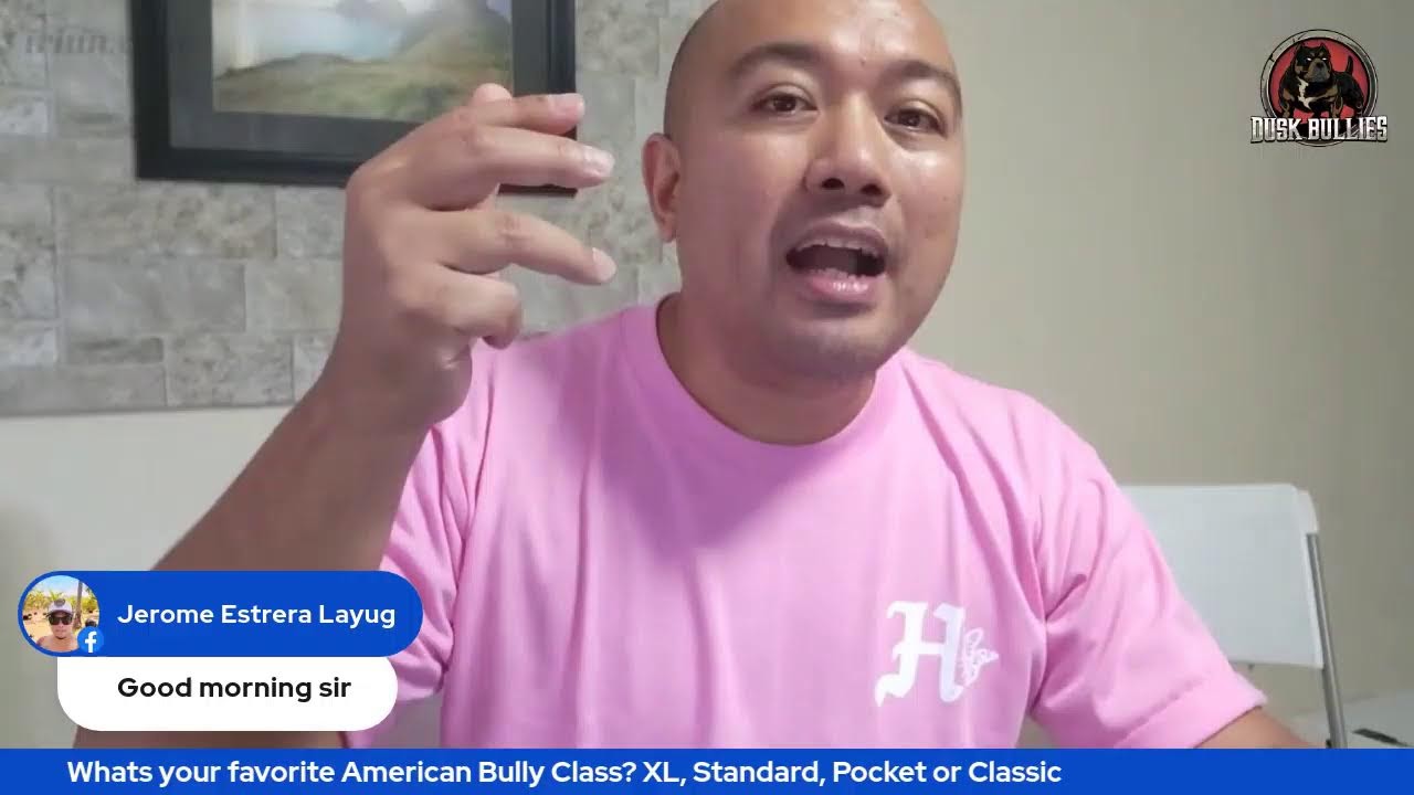Whats your favorite American Bully Class? XL, Standard, Pocket or Classic