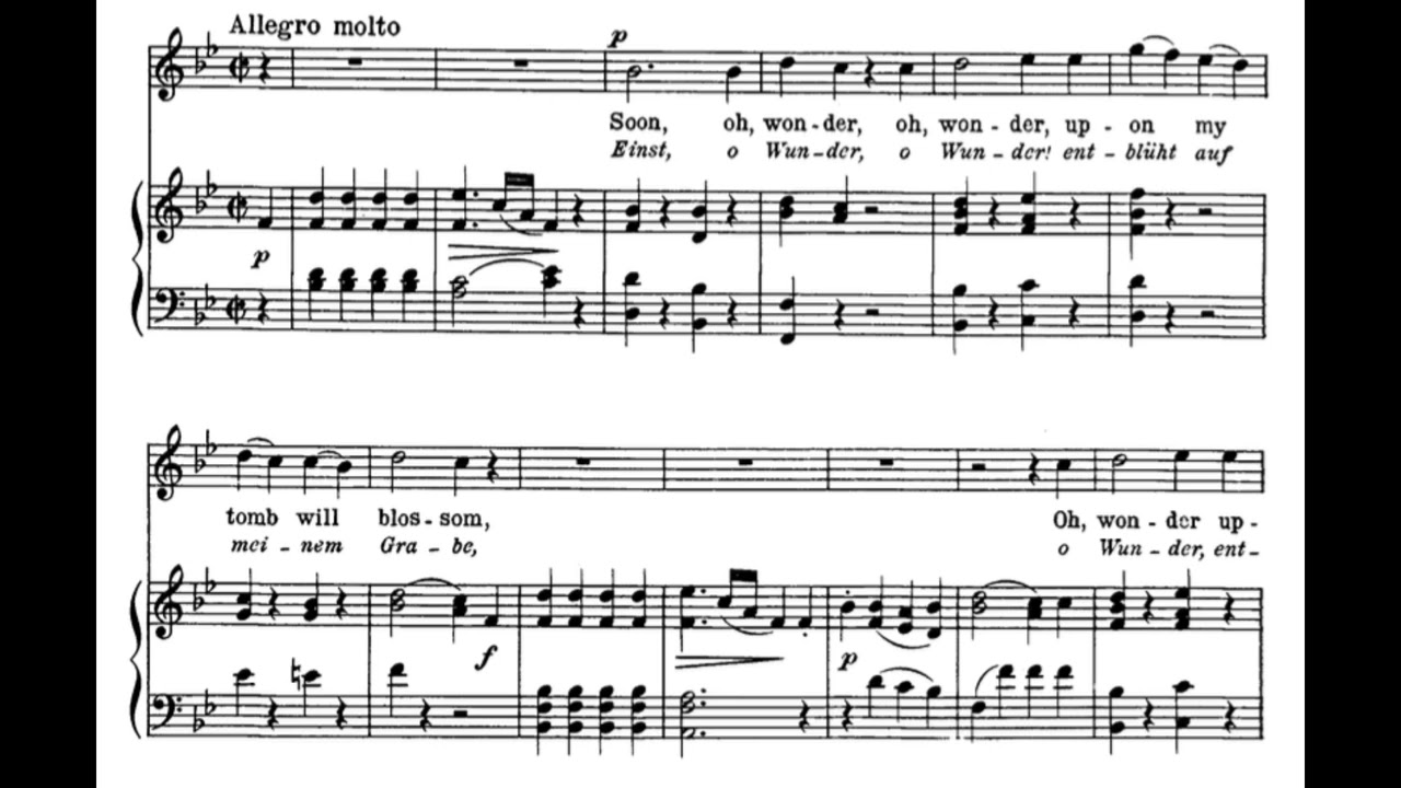 Adelaide (L. van Beethoven) Score Animation