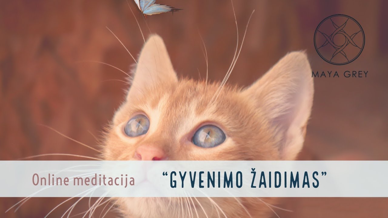 Ryto ar vakaro meditacija 