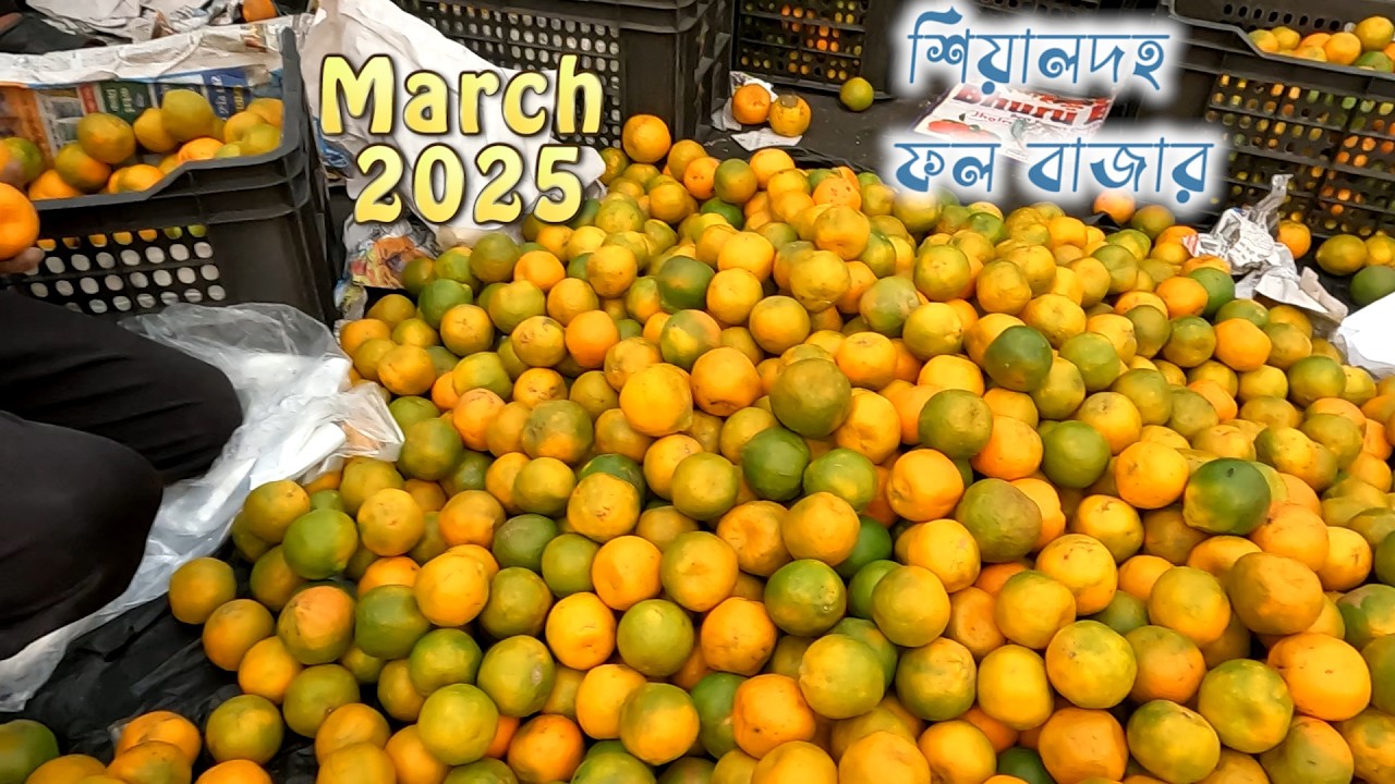 ২০২৫ সালের মার্চ  শিয়ালদহ ফলের বাজার | sealdah fruit market | Kolkata fruit market #fruit
