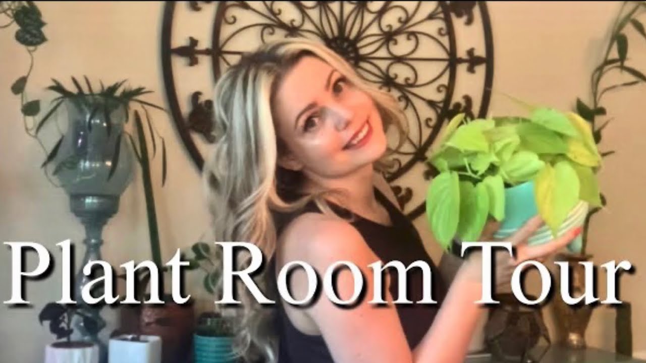 Let's Tour My Plant Room // One room // 145 Houseplants #houseplants