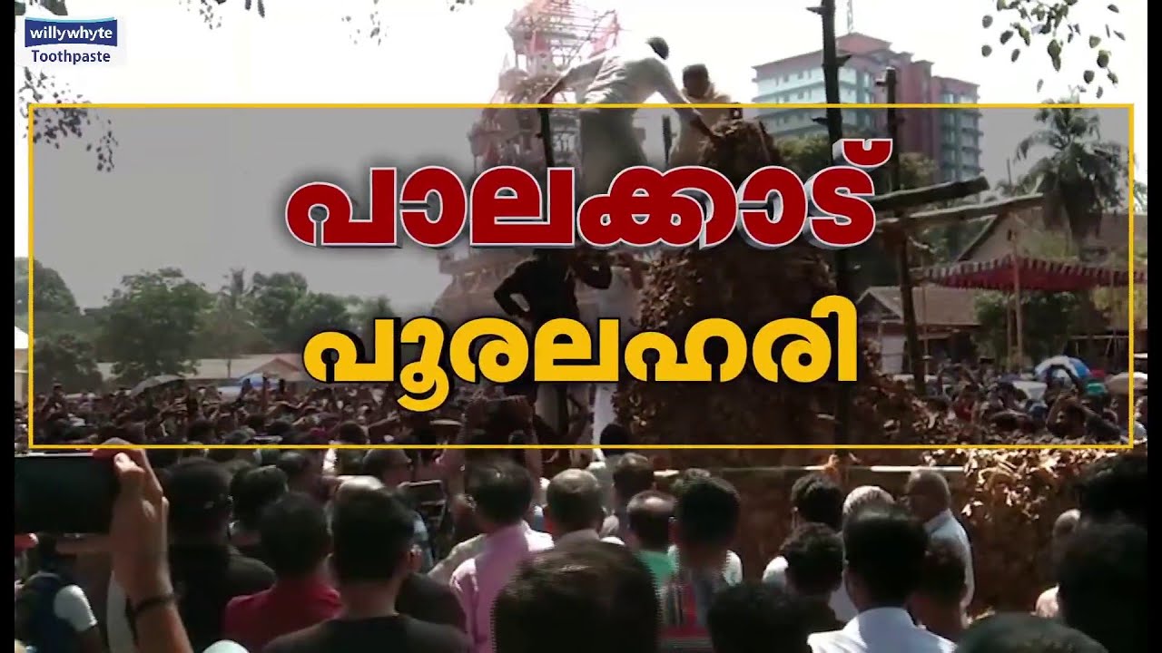 പൂരലഹരിയില്‍ പാലക്കാട്; ഇന്ന് അഞ്ച് പൂരങ്ങള്‍, 90 ആനകള്‍ ജില്ലയിലേക്ക് | Palakkad