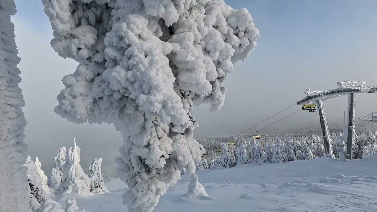 CZARNA GÓRA 13 12 2024 Ośrodek Narciarski