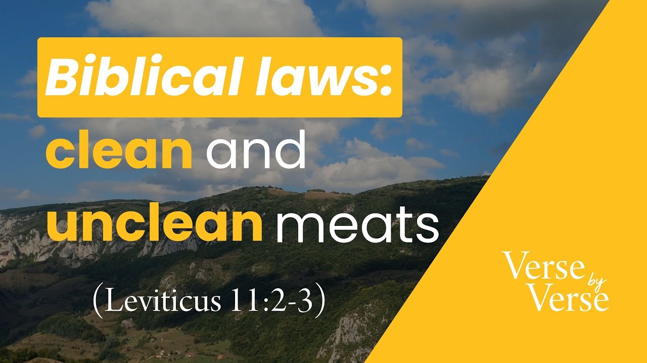 Biblical Food Laws: Clean and Unclean Meats (Leviticus 11:2-3) | Verse by Verse