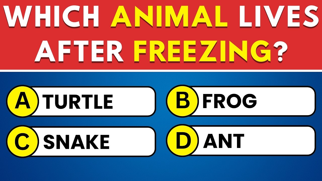 Can You Pass This 50-Question General Knowledge Quiz? 🧠 Ultimate Trivia Test! 📚