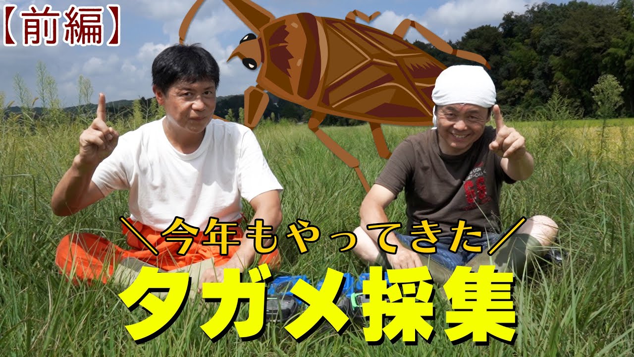 【前編】今年もやってきた！タガメ採集！！
