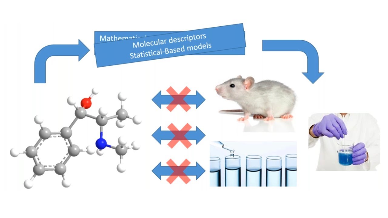 Introduction to Using (Q)SAR for the Assessment of Potential Mutagenicity of Drug Impurities