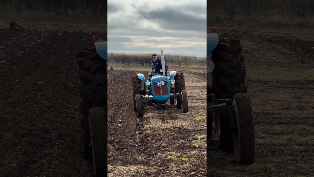 Fordson Dexta at the Highlands of Fife Ploughing Association annual ploughing match 2025