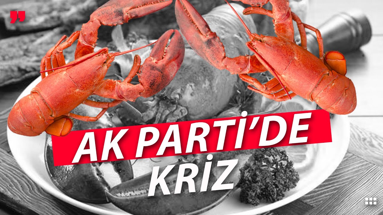 Ak Parti'de Istakoz Krizi