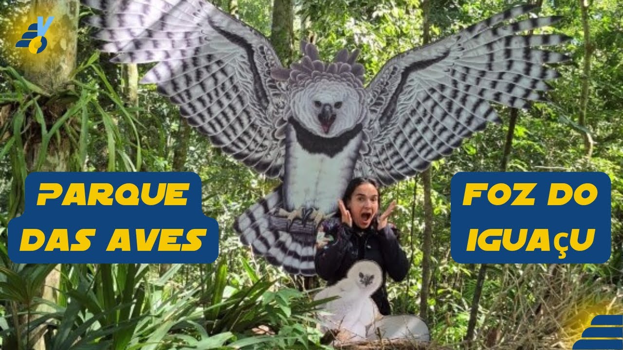 Parque das Aves em Foz do Iguaçu: uma experiência na Mata Atlântica