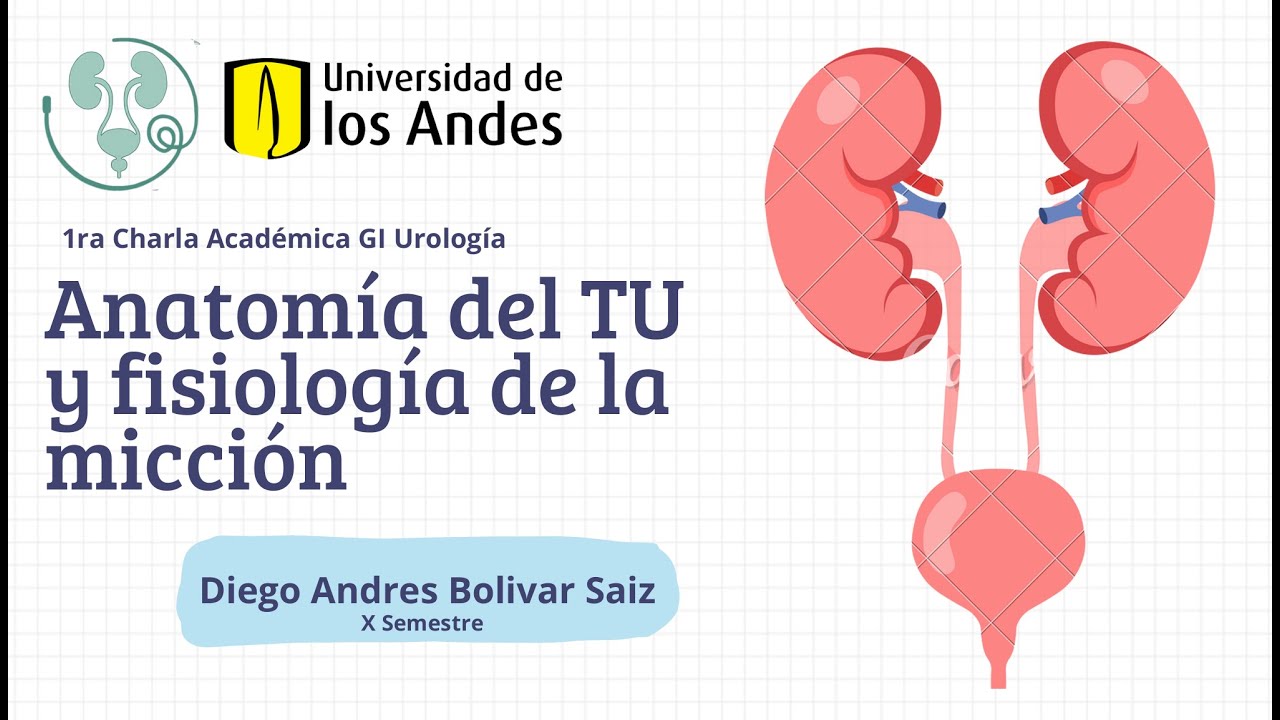 Anatomía y Fisiología del Tracto Urinario