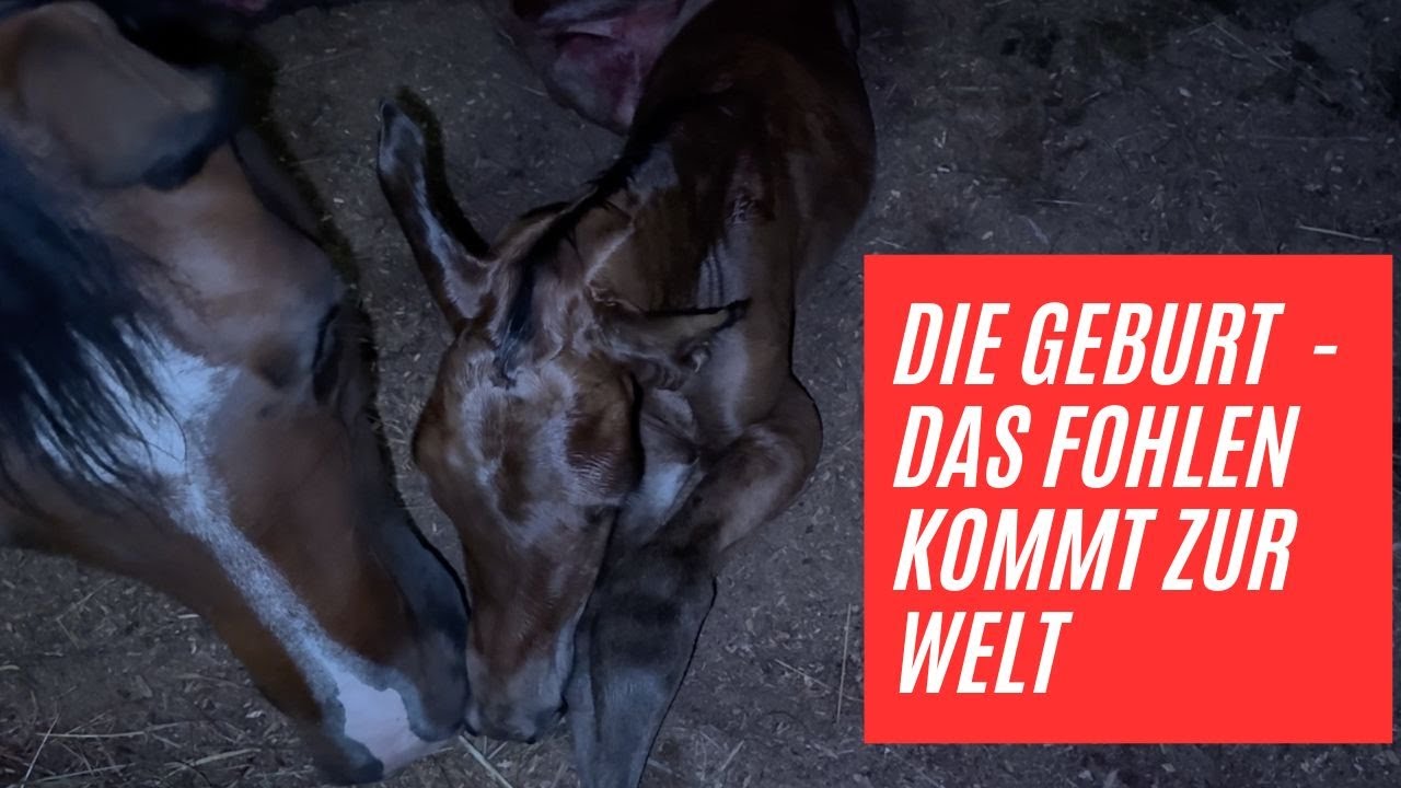 Zoe, die Geburt komplett