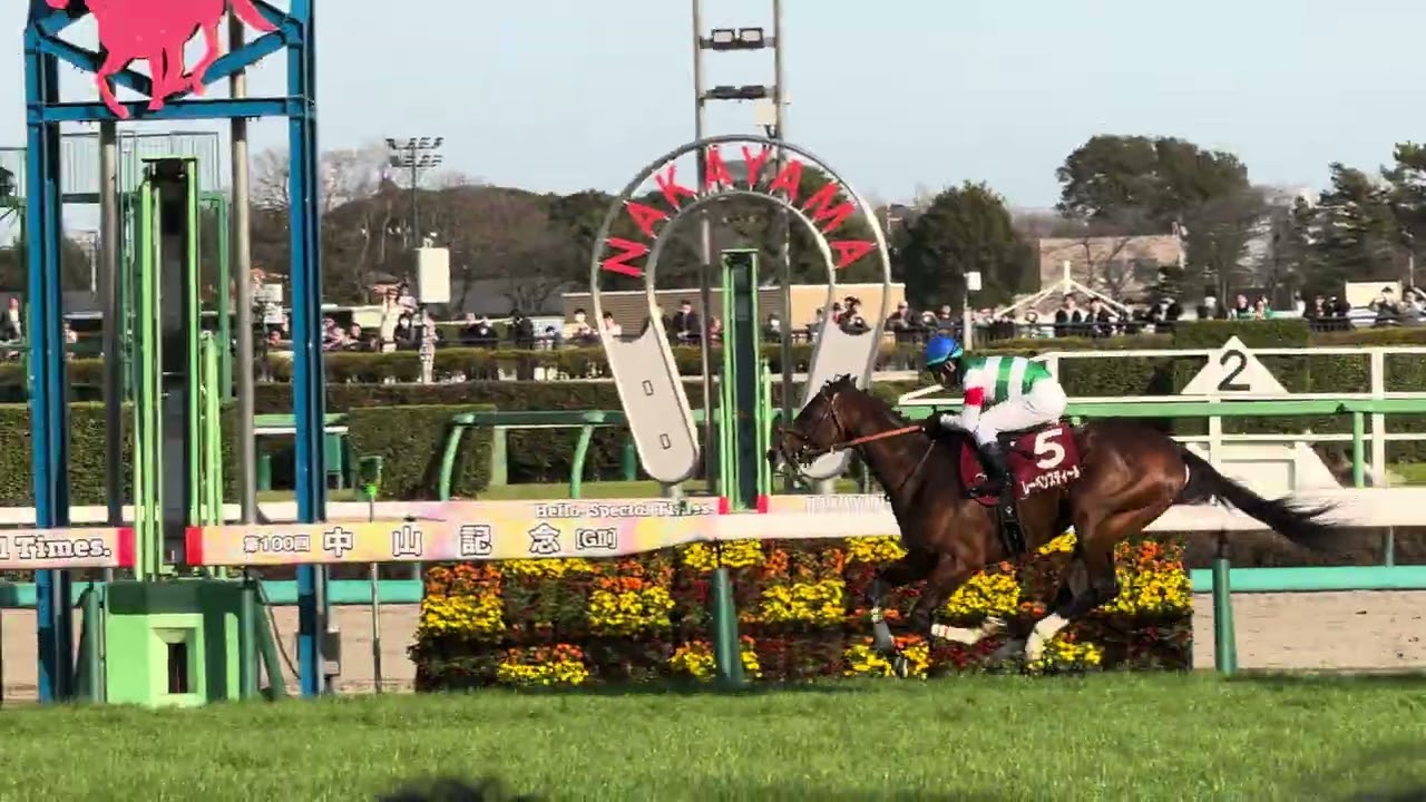 ［現地観戦］2026,3.1（日）中山11R 第100回中山記念（G2）