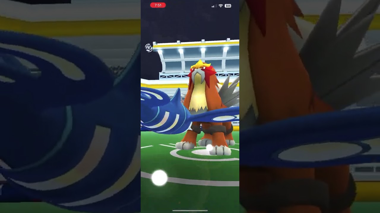 Entei Solo 🗡️, Rainy, Fire Fang/Flamethrower, Primal Kyogre + 1 Shadow Kyogre