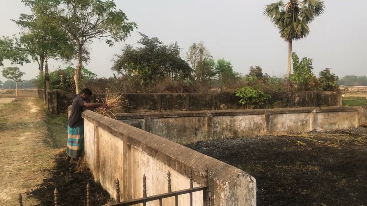 Graveyard 
